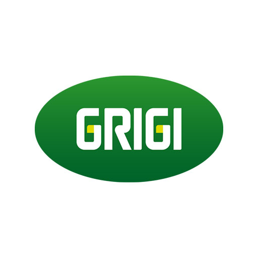 Grigi Logo